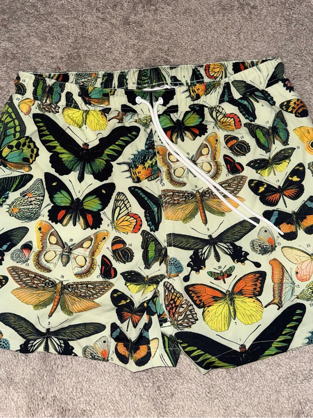 Civil Regime Swim Trunks
